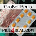 Großer Penis new13